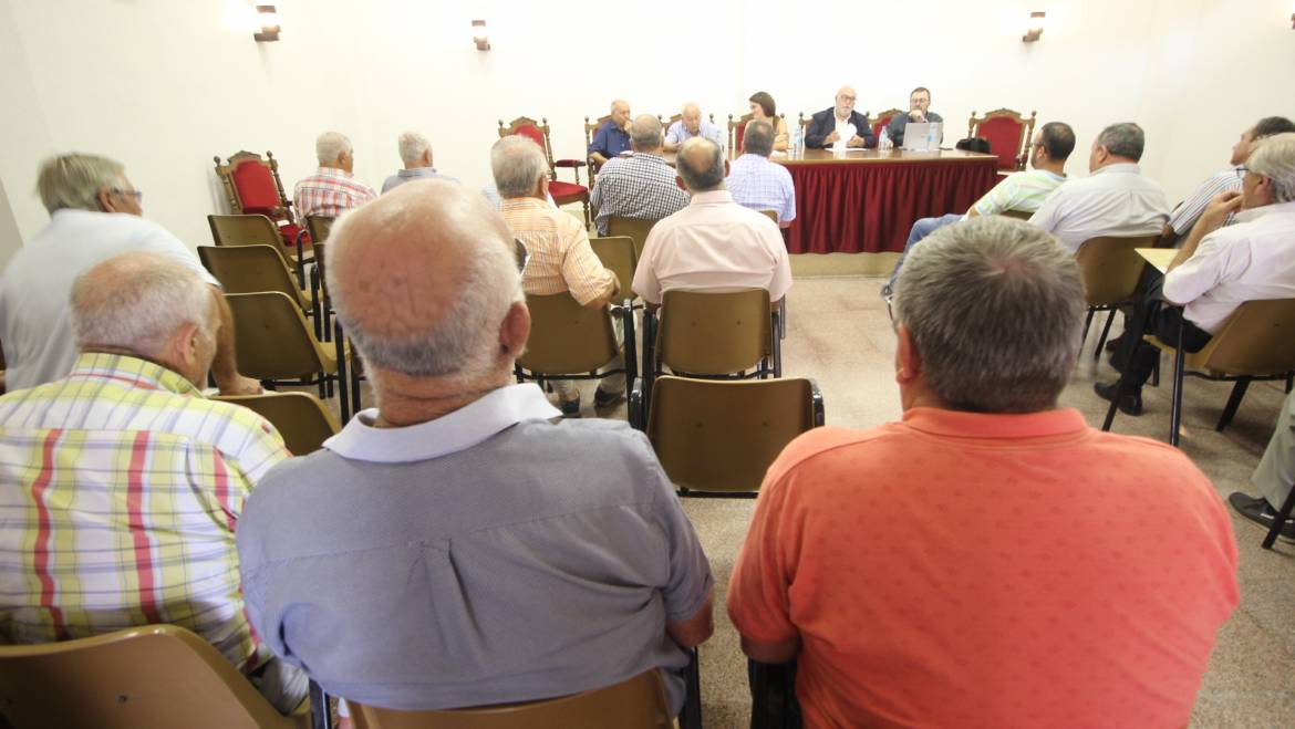 Juzgados de aguas, comunidades de regantes y sindicatos de riegos de la huerta tradicional de la Vega Baja