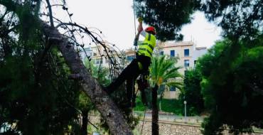 El Ayuntamiento inspecciona el arbolado de la ladera del río para retirar los ejemplares que tienen riesgo de caída