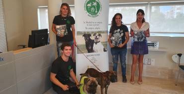 La protectora Baix Vinalopó y el Ayuntamiento de Elche crean un calendario solidario destinado al cuidado y manutención de los animales