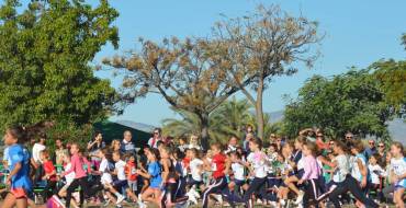 Cross La Alcudia (XXXVI Cross Escolar y II Cross Popular)