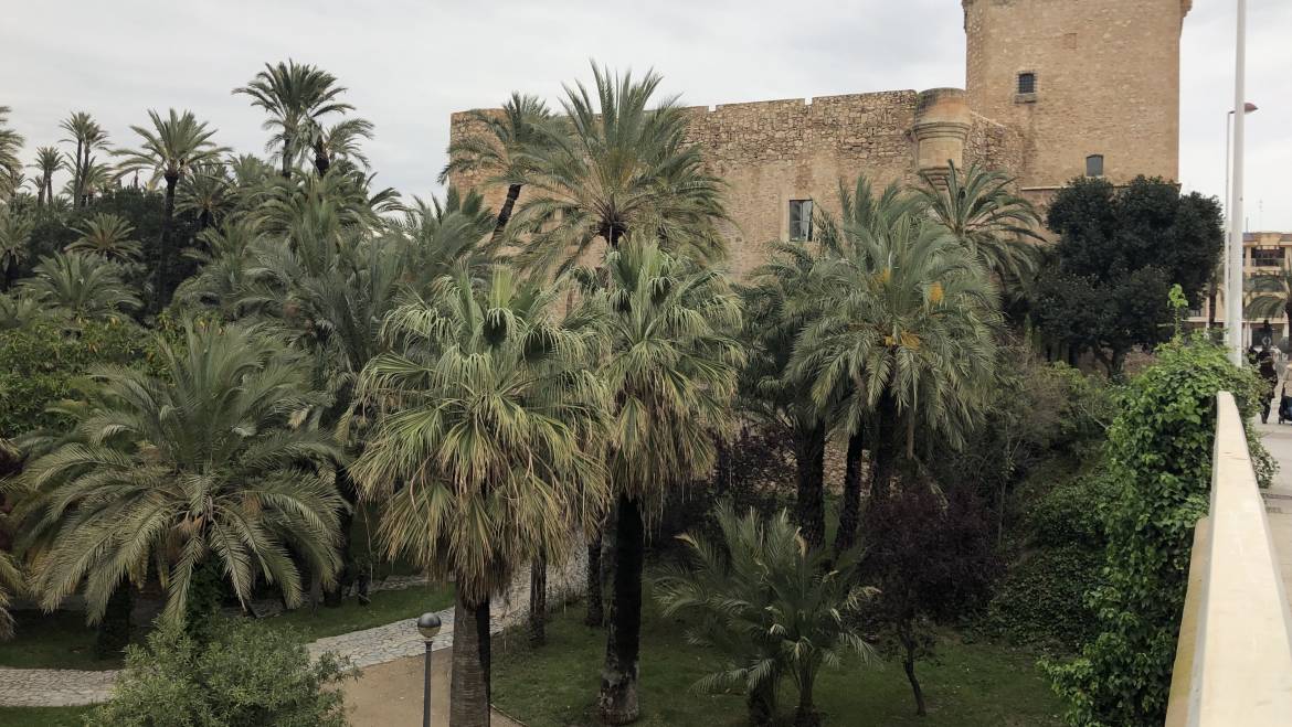 Tres detenidos como presuntos autores de pintadas en el Palacio de Altamira y establecimientos