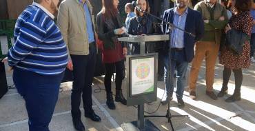 El manifiesto del Día Internacional de las Personas Discapacitadas en Elche llama a luchar por una sociedad más accesible e inclusiva