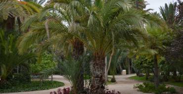 El Ayuntamiento convoca la comisión de seguimiento del Instituto Tecnológico de la Palmera