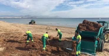 Continúa la puesta a punto de las playas ilicitanas de cara a la campaña de Semana Santa