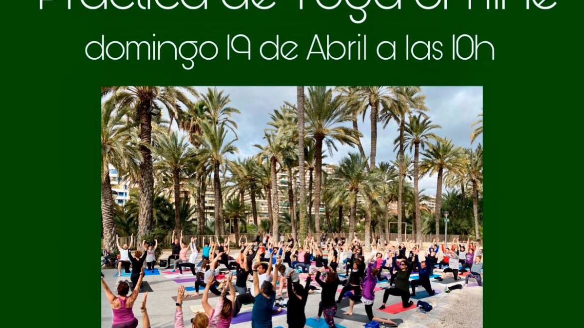 El ioga, ara en línia a través de l’Instagram de l’Associació Practica Ioga Elx