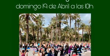 El ioga, ara en línia a través de l’Instagram de l’Associació Practica Ioga Elx