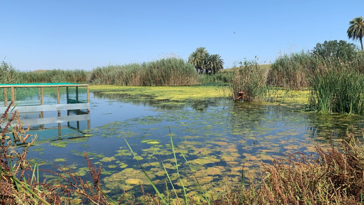 La iniciativa de voluntariado ‘A Limpiar el Mundo’ llega al Clot de Galvany este fin de semana para luchar contra la “basuraleza”
