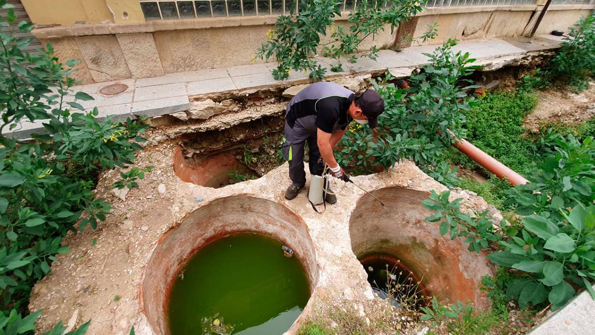 Sanidad ordena a la empresa CTL fumigar la zona de las excavaciones en el entorno del mercado central para evitar la proliferación de mosquitos a causa de las recientes lluvias