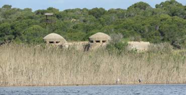 El Clot de Galvany reabre hoy al público en su horario habitual con aforo limitado