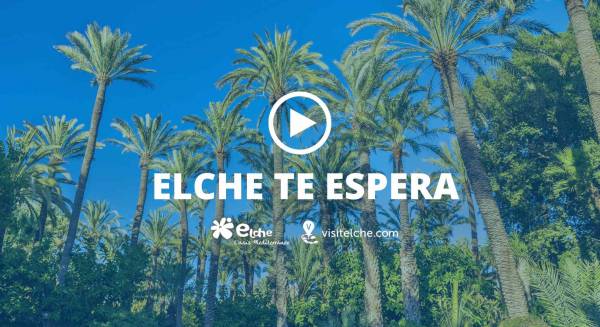 ELCHE TE ESPERA (2)