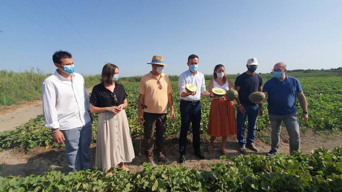 La Comunidad de Regantes de Carrizales espera obtener este año más de medio millón de kilos de melones