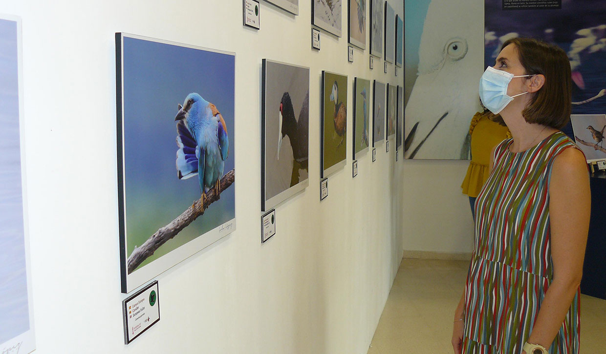 exposicion-fotografica-hondo-elche