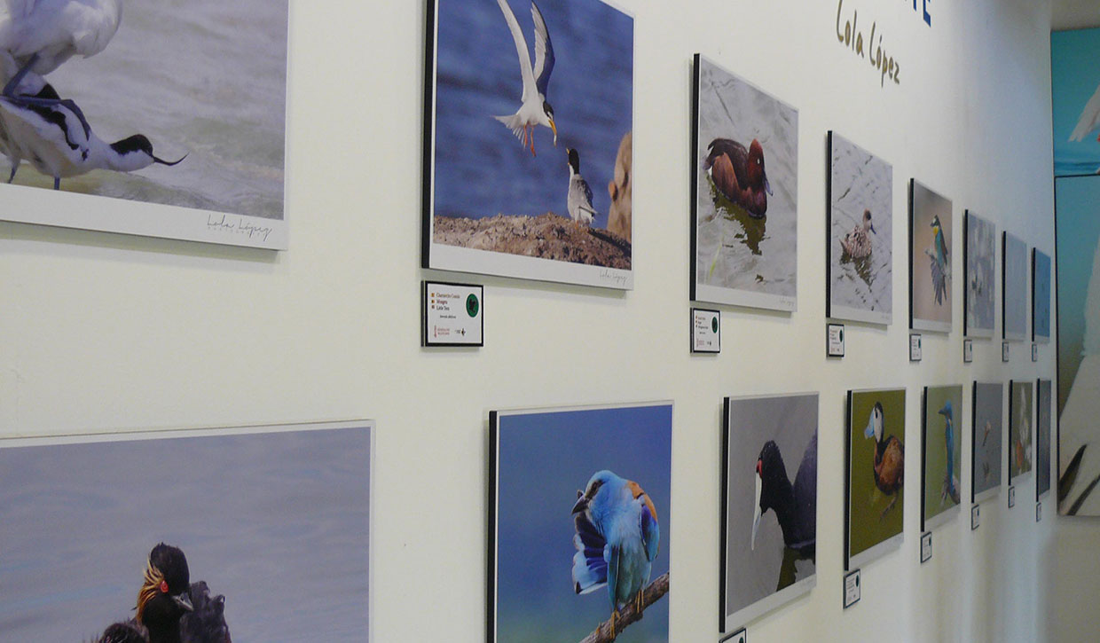 exposicion-fotografica-hondo-elche