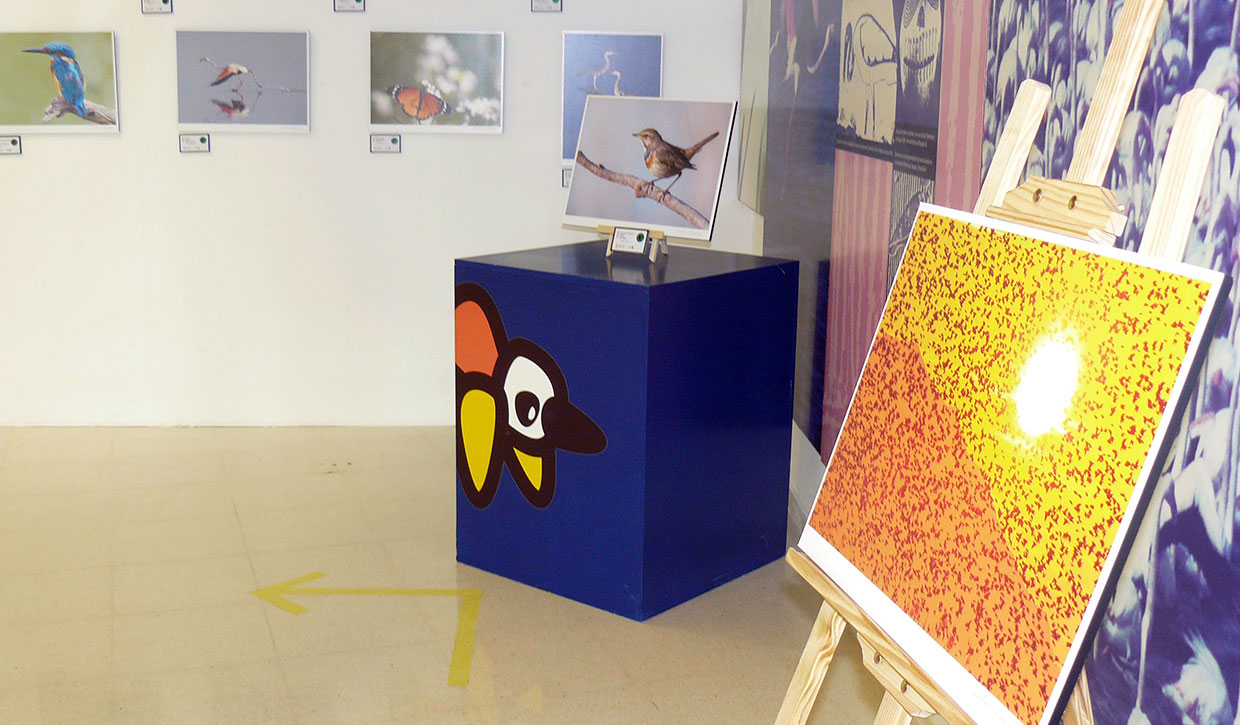 exposicion-fotografica-hondo-elche