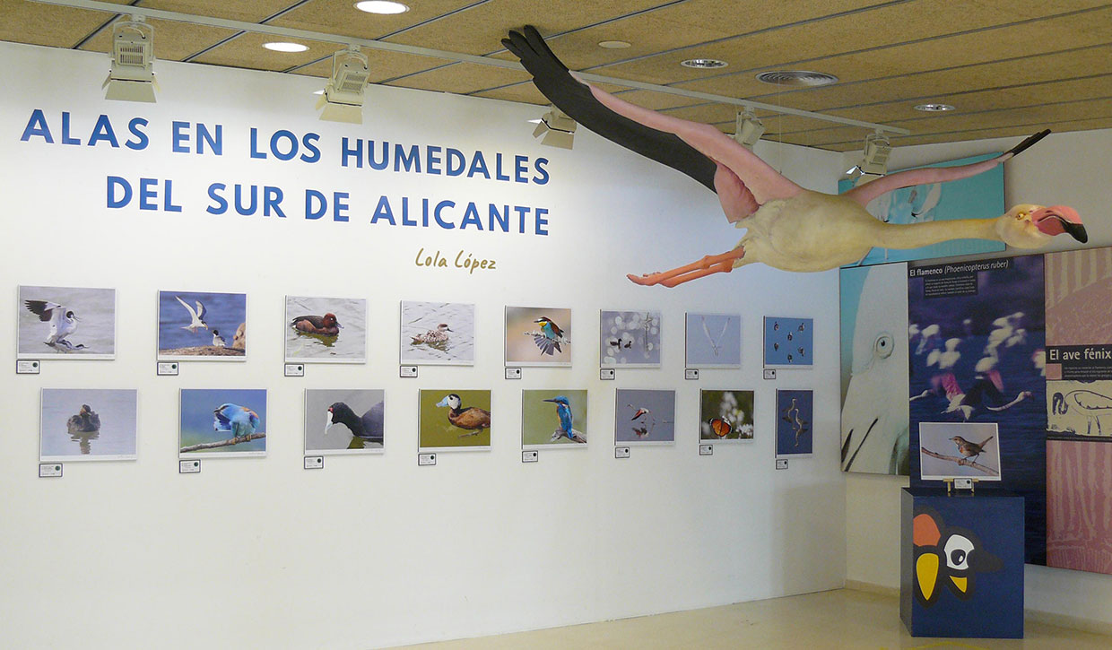 exposicion-fotografica-hondo-elche