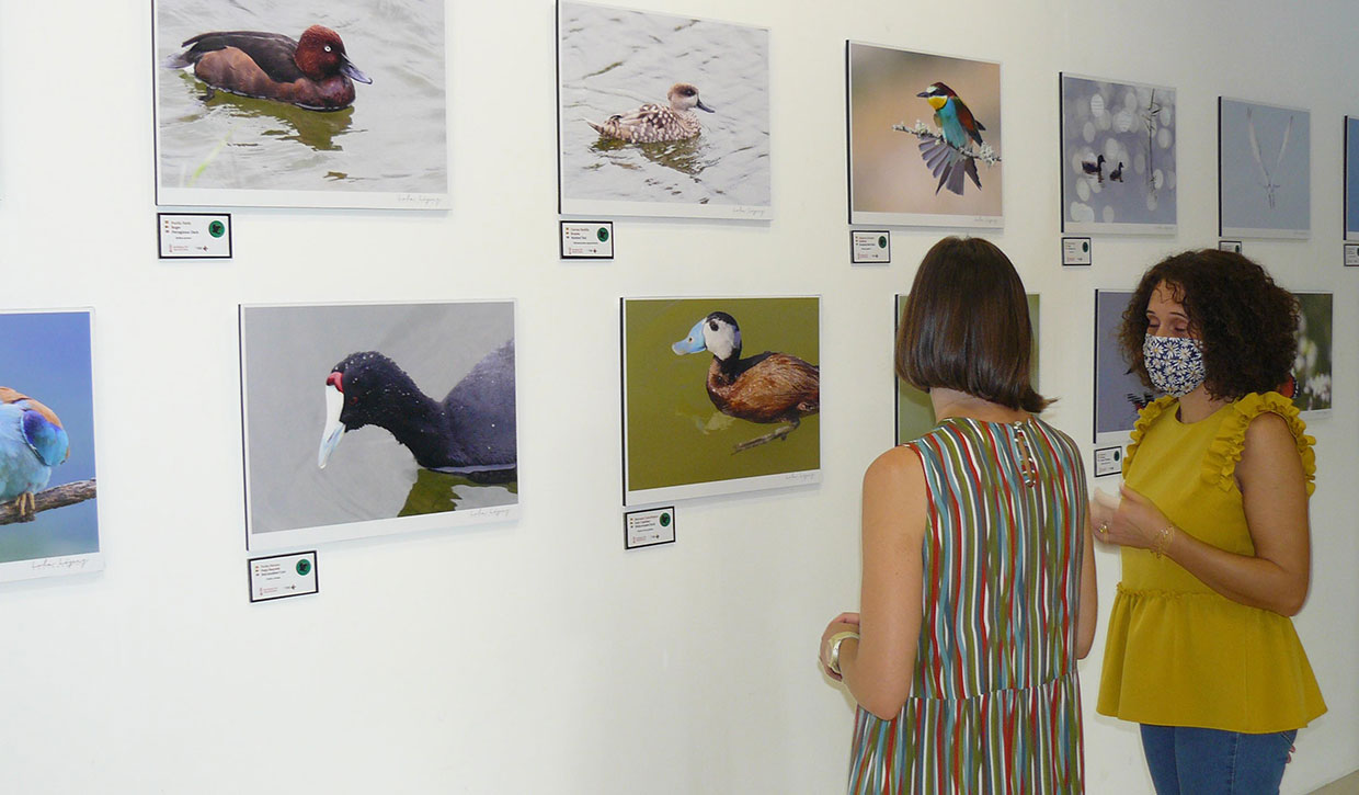 exposicion-fotografica-hondo-elche