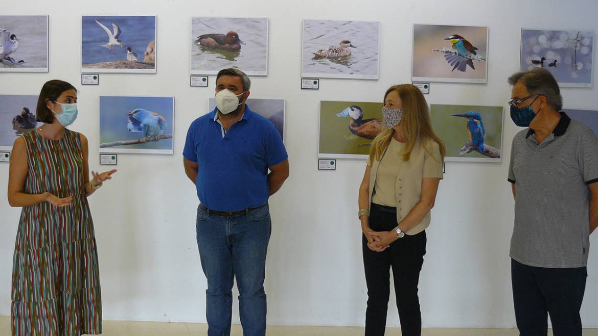 Inaugurada en El Hondo la exposición fotográfica ‘Alas en los humedales del sur’