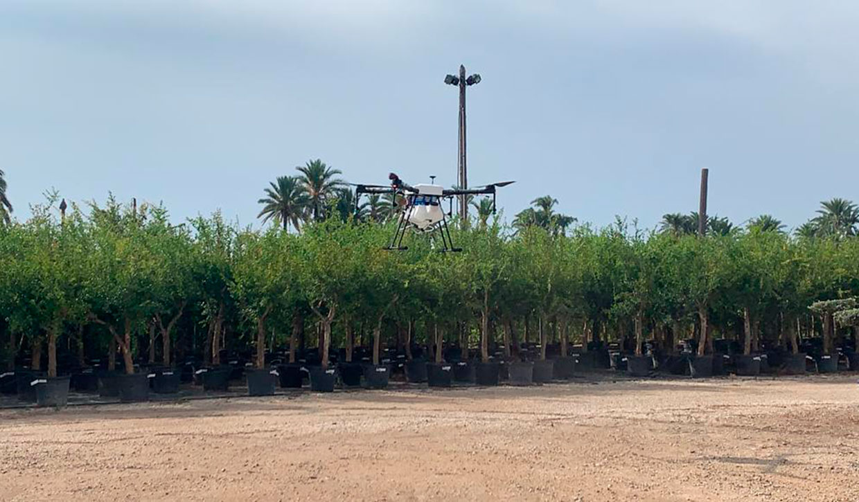 fumigacion-mosquitos-elche-03