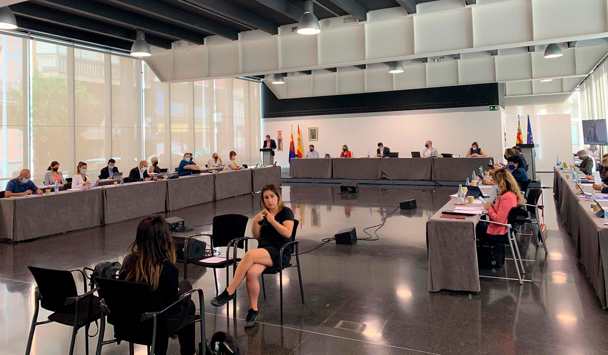 pleno-elche-01