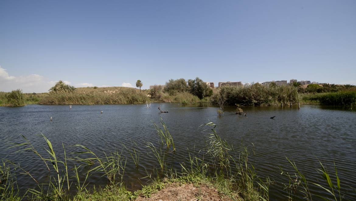 El Clot de Galvany retoma el concurso Photoclot y celebra el Día de las Aves con diferentes actividades