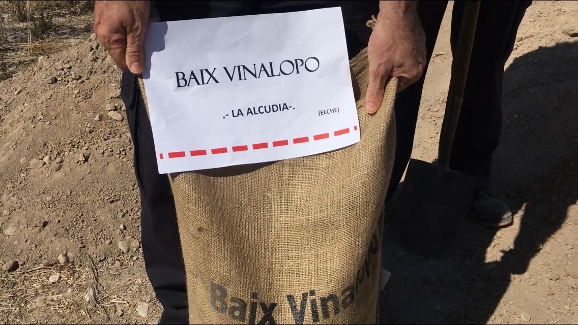 Tierra de la Alcudia homenaje víctimas covid