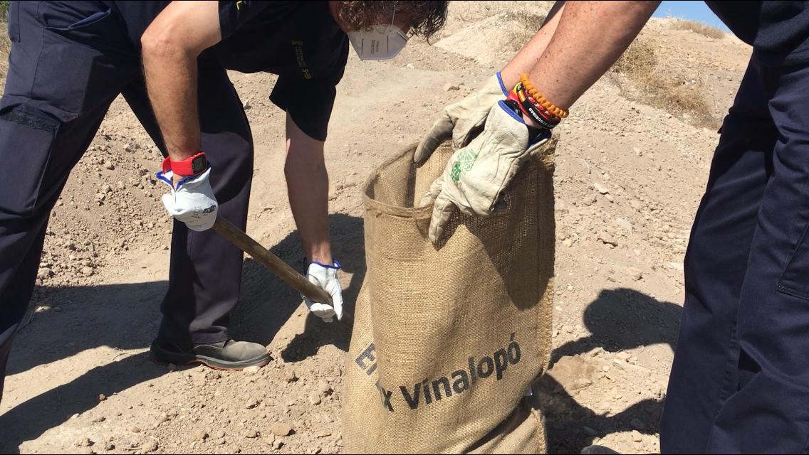 Tierra de la Alcudia homenaje víctimas covid