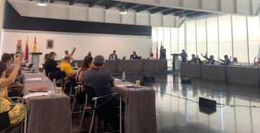 El Ayuntamiento de Elche realizará los dos próximos plenos por vía telemática debido a la pandemia
