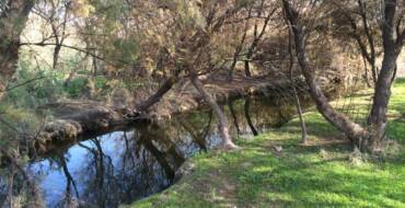 Un voluntariado en el Vinalopó permitirá estudiar la calidad del río