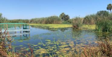 Díez defiende avanzar en la protección y difusión del Clot y el Fondo en el Día de los Humedales