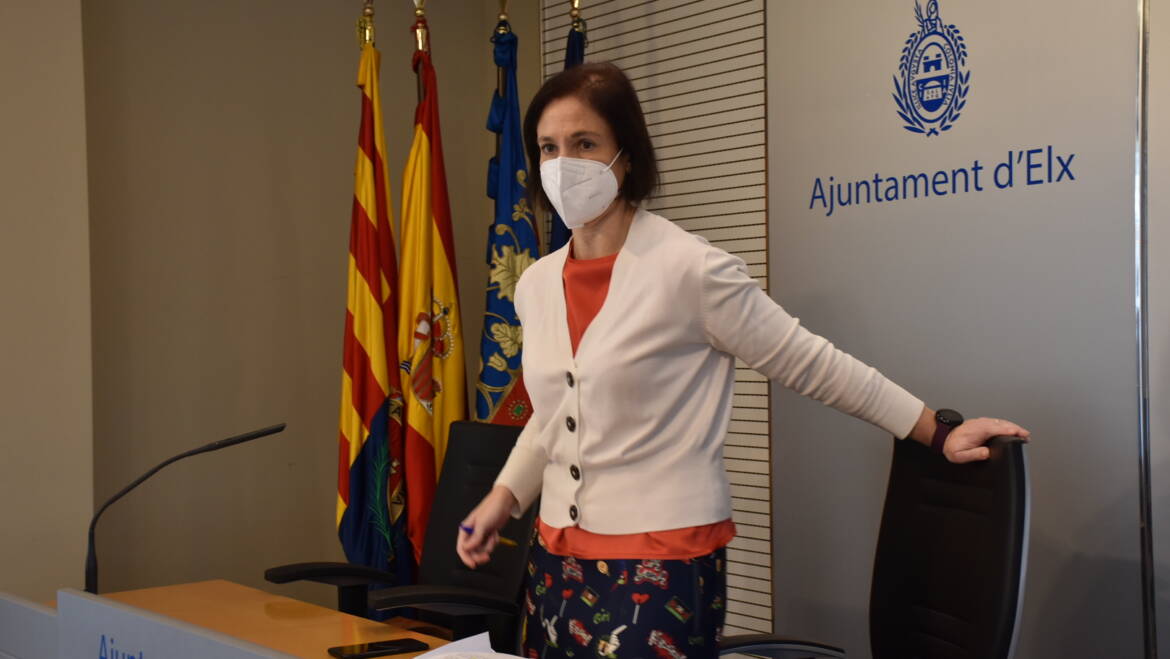 El Ayuntamiento encarga a los servicios técnicos la modificación del desarrollo del E-16 para garantizar la protección del Palmeral Histórico