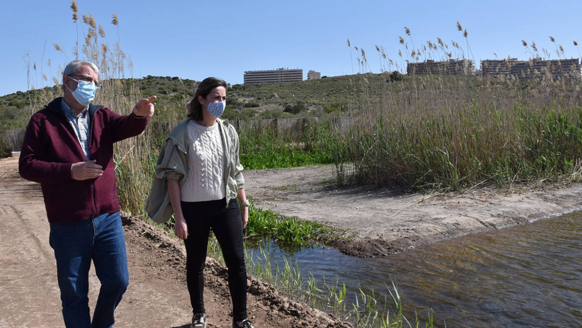 El Clot de Galvany remodela la tolla d’ocells limícoles per a millorar el seu hàbitat natural