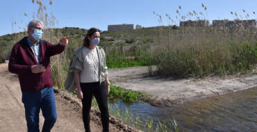 El Clot de Galvany remodela la charca de aves limícolas para mejorar su hábitat natural