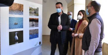 El claustro de San José acoge hasta el 29 de abril una exposición que recorre con más de 300 imágenes la vida natural en el Clot de Galvany durante la época otoñal