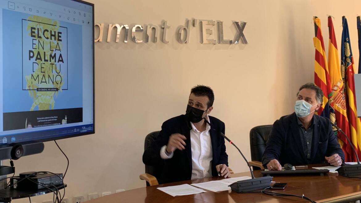 Visitelche lanza una campaña de ámbito nacional para promocionar la Palma Blanca ilicitana
