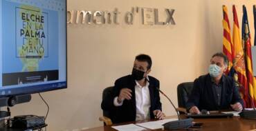 Visitelche lanza una campaña de ámbito nacional para promocionar la Palma Blanca ilicitana
