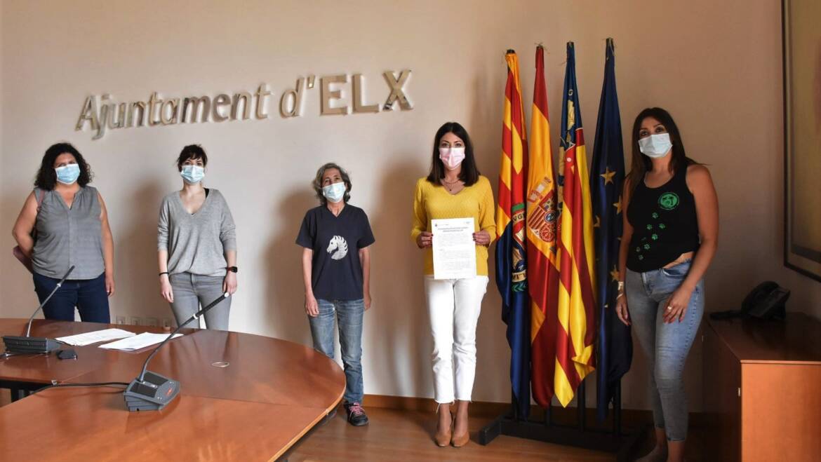 Elx presenta un pla pioner de control i gestió de colònies felines de manera ètica