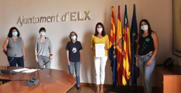 Elche presenta un plan pionero de control y gestión de colonias felinas de manera ética