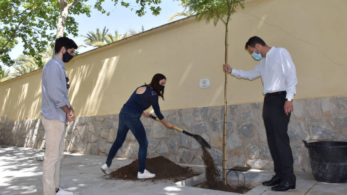 El Ayuntamiento se suma a la iniciativa “Un árbol por Europa” para reafirmar su compromiso por la lucha contra el cambio climático