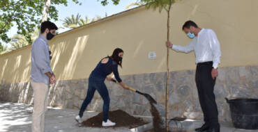 El Ayuntamiento se suma a la iniciativa “Un árbol por Europa” para reafirmar su compromiso por la lucha contra el cambio climático