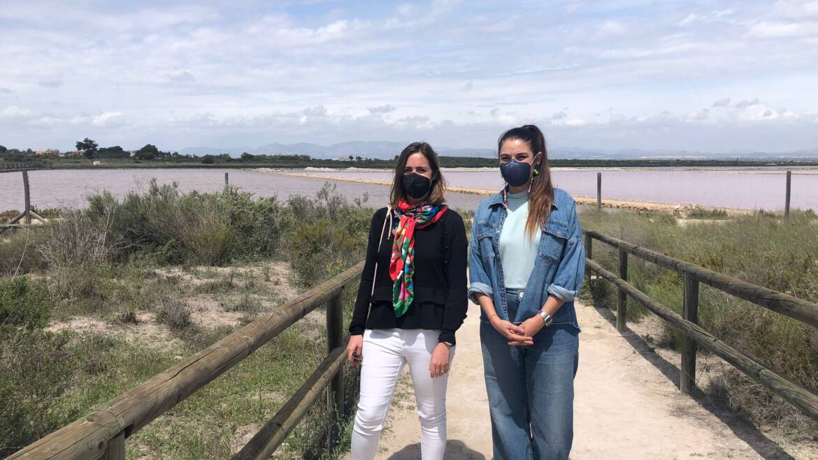 La Conselleria de Medio Ambiente protege espacios naturales en el sur de la provincia para rescatar especies amenazadas como la gaviota picofina