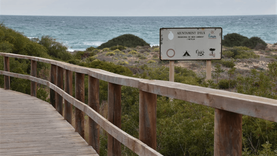 Ajuntament i Costes milloren els accessos a les platges d’Elx amb dos noves passarel·les i una sendera per a protegir les dunes