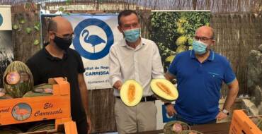 La Comunidad de Regantes de Carrizales espera obtener este año más de 350.000 kilos de melones