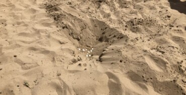 La campaña “Rastros en la arena” de la playa del Carabassí reconocida como plan de mejora de servicio turístico