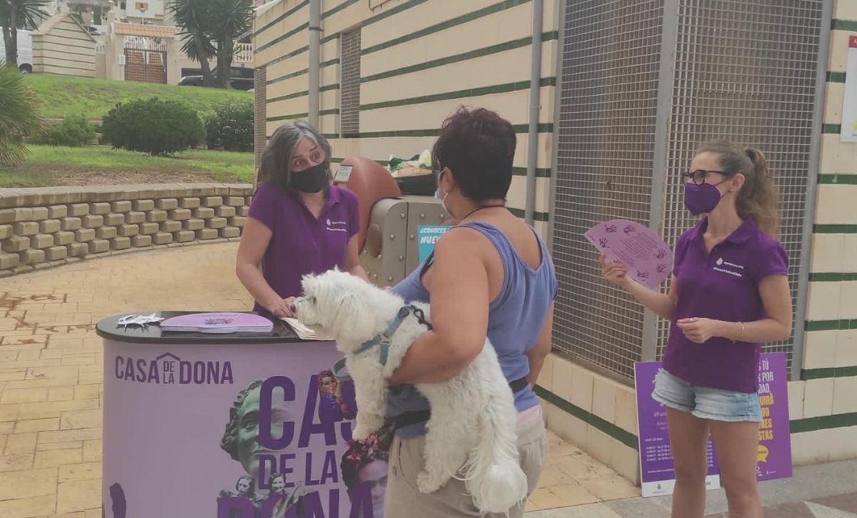 puntos violeta elx - 5
