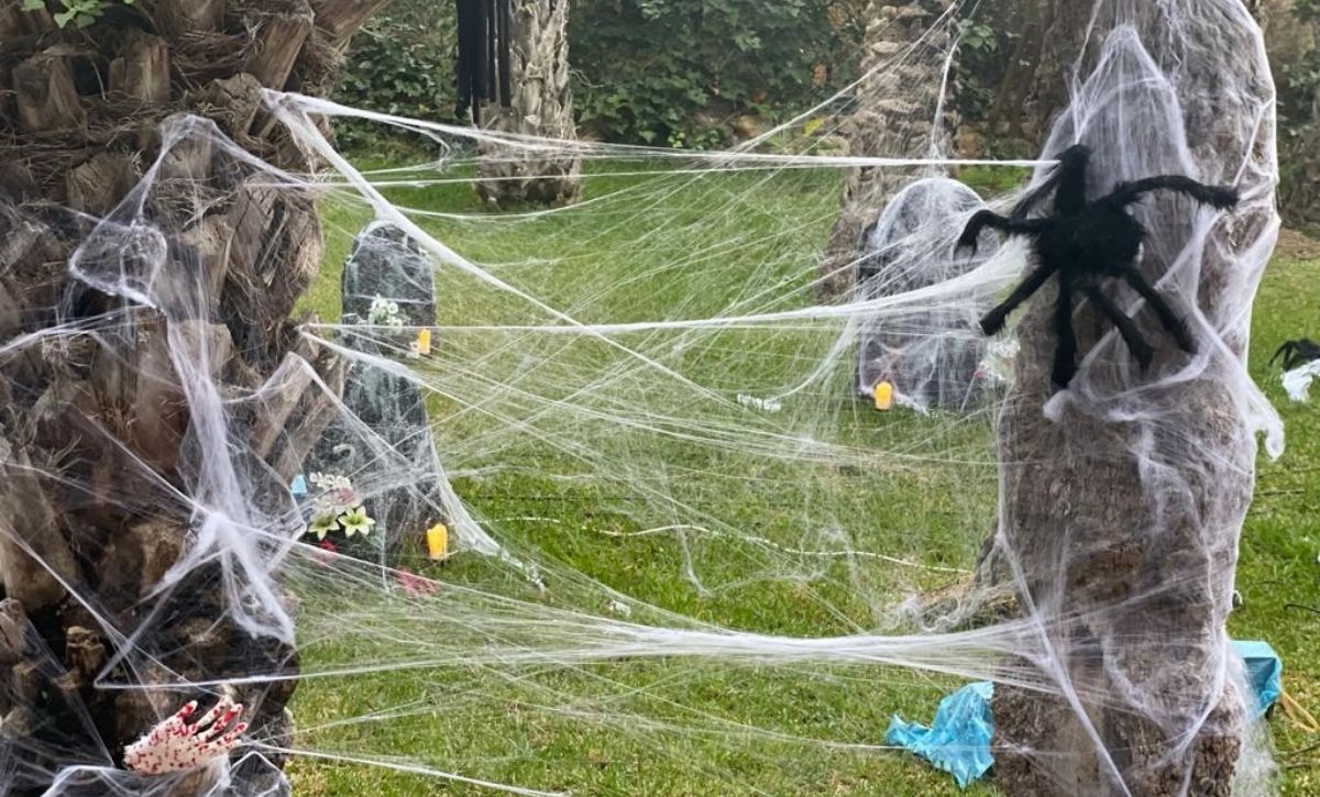 Halloween - 5