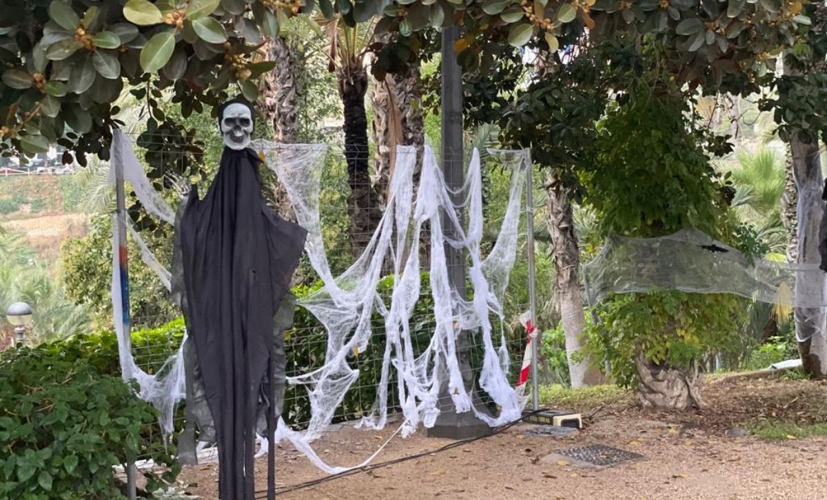 Halloween - 9