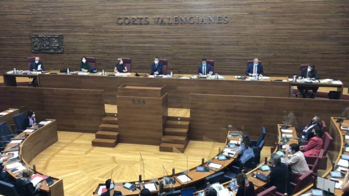 Las Cortes Valencianas aprueban la ley que garantiza la financiación y conservación del Palmeral ilicitano