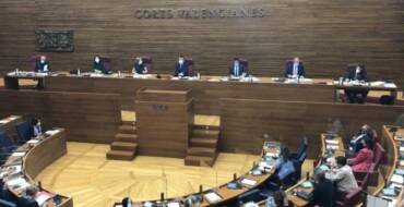 Las Cortes Valencianas aprueban la ley que garantiza la financiación y conservación del Palmeral ilicitano