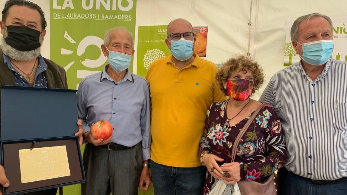La Fireta del Camp d’Elx vuelve y supera los 21.000 asistentes