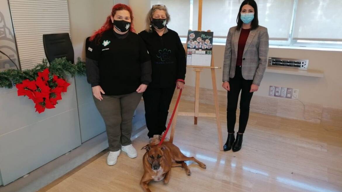 Bienestar Animal respalda la iniciativa de Huellas Salvadas de lanzar un calendario solidario para promover la adopción y el cuidado de mascotas